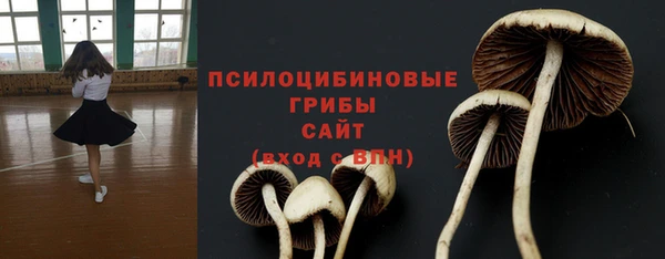 амфетамин Алексеевка